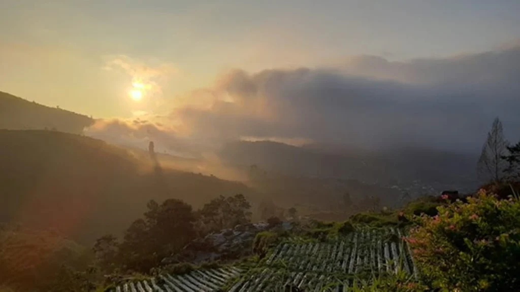 Batu angkruk